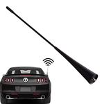 Unikpas Car Antenna compatible for Ford Mustang 2010-2014 Roof Radio Antenna Replacement AR3Z-18813-A