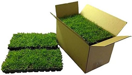 Zoysia Plu