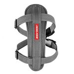 EzyDog Premium Chest Plate Custom Fit Reflective No-Pull Padded Comfort Dog Harness - Perfect for Training, Walking, and Control - Includes Car Restraint Attachment (Medium, Gray)