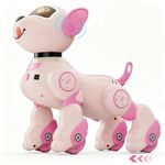 VATOS Robot Dog Toy for Kids, Voice & 2.4GHz Remote Control Robot Pet with Interactive Touch Sensors, Over 20+ Responses, Program Mode, Robotic Puppy Toy for Kids Boys & Girls