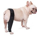 Knee Protection For Dogs