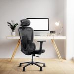 Frido AeroMesh Ergo Chair | Adjustable Armrests & Headrest | Lumbar Support | Breathable Mesh Back Fabric | Customizable Seat Depth & Height | Office Chair for Work & Study |120 kg Capacity | Black