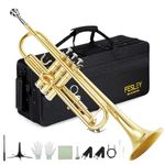 Fesley Bb Standard Trumpet Set for Beginner, Brass Trumpets for School Band Orchestra, Student Trumpet Instrument with Hard Case, 7C Mouthpiece, Cleaning Kit, Gloves, Gold