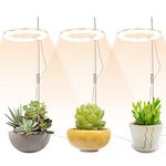 Atrusu Grow Lights for Plant, Full Spectrum Plant Grow Lights with 3 Head, Plant Lights for Indoor Succulent Plants Growth, Seeding, Nepenthes