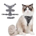 Cat Harness and Leash for Walking,E