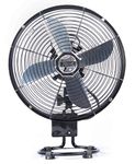 Ace Oscillating Fans