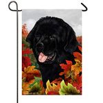 Best of Breed Newfoundland Fall Leaves Garden Flag 12" x 17"