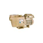 Pentair 011533 WhisperFlo VST Variable Speed Pool Pump, 2.6 THP