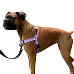 ShawnCo Dream Walk No-Pull Dog Harness- Adjustable, Comfortable, Easy to Use Pet Halter to Help Stop Pulling for Small, Medium and Large Dogs (ICY Lilac, M)