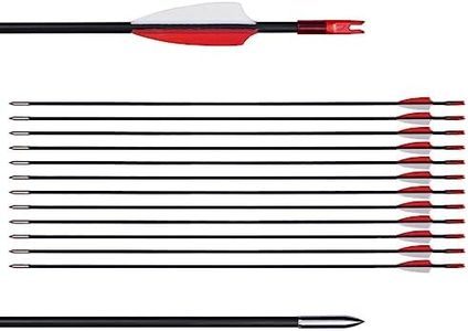 LWANO 31" Training Arrows-Archery Practice Target Arrows for Kids Youth or Beginners with Durable Shaft on Recurve Bow Compound Bow and Longbow (12pas Arrows, Red)