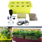 Homend Hydroponic System Growing Kit, DWC Deep Water Culture Hydroponic System Growing Kit with Airstone, 8 Plant Sites, Air Pump, Rockwool - Best Indoor Herb Garden for Lettuce, Mint, Parsley