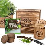 Indoor Herb Kits