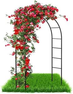 Arco para 