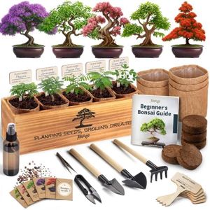 AVERGO Bonsai Tree Kit for Beginners – 5X Unique Japanese Bonzai Trees | Complete Indoor Bonsai Starter Kit for Growing Bonsai Plants with Tools & Planters – DIY Gardening Gifts for Women & Men