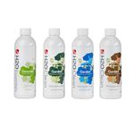 H2O Steam Cleaner Garden Cleaners - Pack of 4