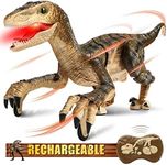 Hot Bee Remote Control Dinosaur Toy