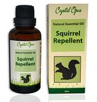 Squirrel Repellents