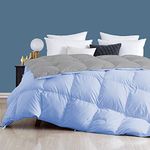 Day Care - 400 GSM Hotel Quality-Down Alternative Reversible Comforter (90" x 90" Inches/228cm x 228cm) - Comforter Queen Size|Silver/Sky Blue