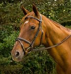 Henri de Rivel Plain Raised Bridle with Flash