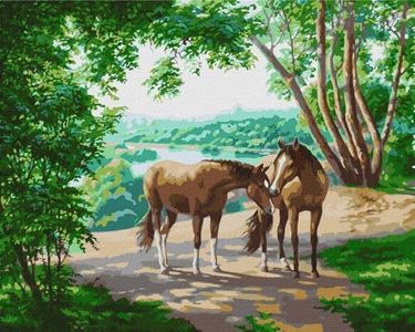 Ideyka Painting by Numbers kit KHO4371 On a Walk