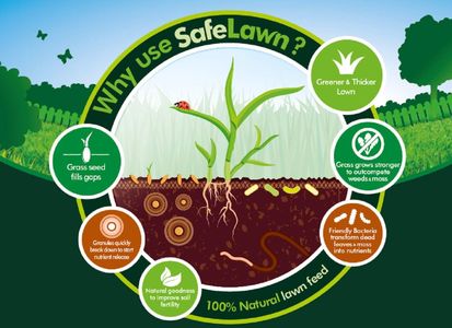 Westland Safe Lawn Pet & Child Friendly Lawn Care, 14kg – Covers 400m²