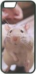 Rat Cute Hard Case for iPhone 5/SE/5S Back Cover