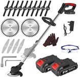 21V Cordless Strimmer, Telescopic L