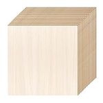 DIYDEC 18 Pack Basswood Sheets 6X 6