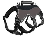 AIMYDOG Escape Proof Dog Harness Medium, Anti-Pull Dog Harness with Handle, Breathable, Adjustable Dog Harness Small Dog, Reflective Harnesses for Large Dogs Outdoor, Walking, Training (Grey, XS)