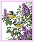 Cross Stitch Embroidery Kits for Adults Kids, WOWDECOR Cats Christmas Animals Dogs Funny 11CT Stamped DIY DMC Needlework Easy Beginners (Birds)