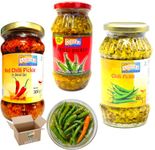 Spicy Pickle Bundle: Ashoka Chilli Pickle 480g + Green Chilli Pickle 500g + Red Chilli Pickle In Olive Oil 300g (1.280Kg)