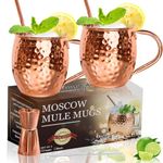 LINALL Moscow Mule Copper Mugs- Set of 2 Copper Plated Stainless Steel Mug 18oz, for Chilled Drinks (2 pcs)