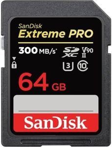 SanDisk Ex