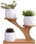 3 Pack Owl Ceramic Succulent Plant Pots with Bamboo Tray