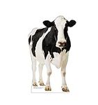 Cow - Advanced Graphics Life Size Cardboard Standup