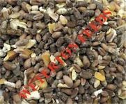 Weterton Feeds Mixed Poultry Corn With Layers Pellets and GM Free Maize 20KG