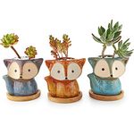 T4U 3.5 Inch Ceramic Succulent Plant Pot Set of 3, Fox Shaped Planter with Bamboo Tray, Tiny Cute Cactus Holder for Home Office Desk Decoration Birthday Wedding with Transmutation Glaze (Multi Set)