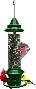 Jacobi Jayne Buster Plus Squirrel-Proof Bird Feeder, Metal, Green
