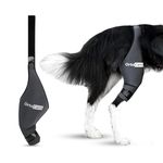 Ortocanis - Dog Knee Brace - For Left Hind Leg - Made of ARD Neoprene - For ACL Tear, Ligament Injuries, Patellar Luxation or Osteoarthritis - Size Medium (11,5-12,2 ")