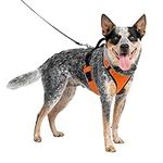 PetSafe EasySport Harness, Adjustab