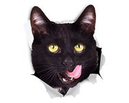 Winston & Bear 3D Cat Stickers | 2 Pack | Hungry Black Cat Decals for Wall - Stickers for Bedroom - Fridge - Toilet - Car - Retail Packaged