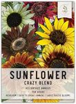 Seed Needs, Specialty Blend of Sunflower Seeds for Planting (15+ Varieties, Crazy Mixture) Heirloom, Open Pollinated & Untreated - Attracts Butterflies & Bees (Small Pack)