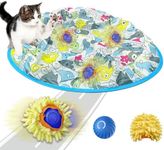 2 in 1 Indoor Cat Interactive Toys,