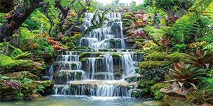 AWERT 48x24 inches Waterfall Aquarium Background Forest Park Green Tropical Plants Fish Tank Background Reptile Habitat Background Vinyl Background