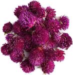 Amaranth Flower - Amaranth Flower D