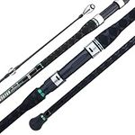BERRYPRO Surf Spinning Rod IM8 Carb
