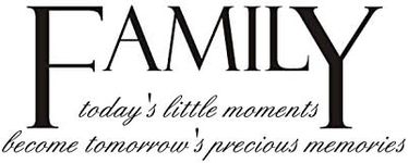 Family: today's little moments becomes tomorrow's precious memories Vinyl wall art Inspirational quotes and saying home decor decal sticke