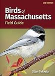 Birds of Massachusetts Field Guide 