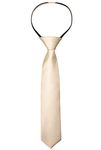 Alizeal Boys Solid Color Pre-tied 6cm Zipper Skinny Necktie, Champagne