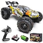 ScharkSpark Brushless RC Cars for A